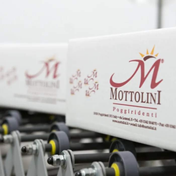 Sostenibilità e reporting aziendale: riparte il percorso di formazione IVSI per Mottolini